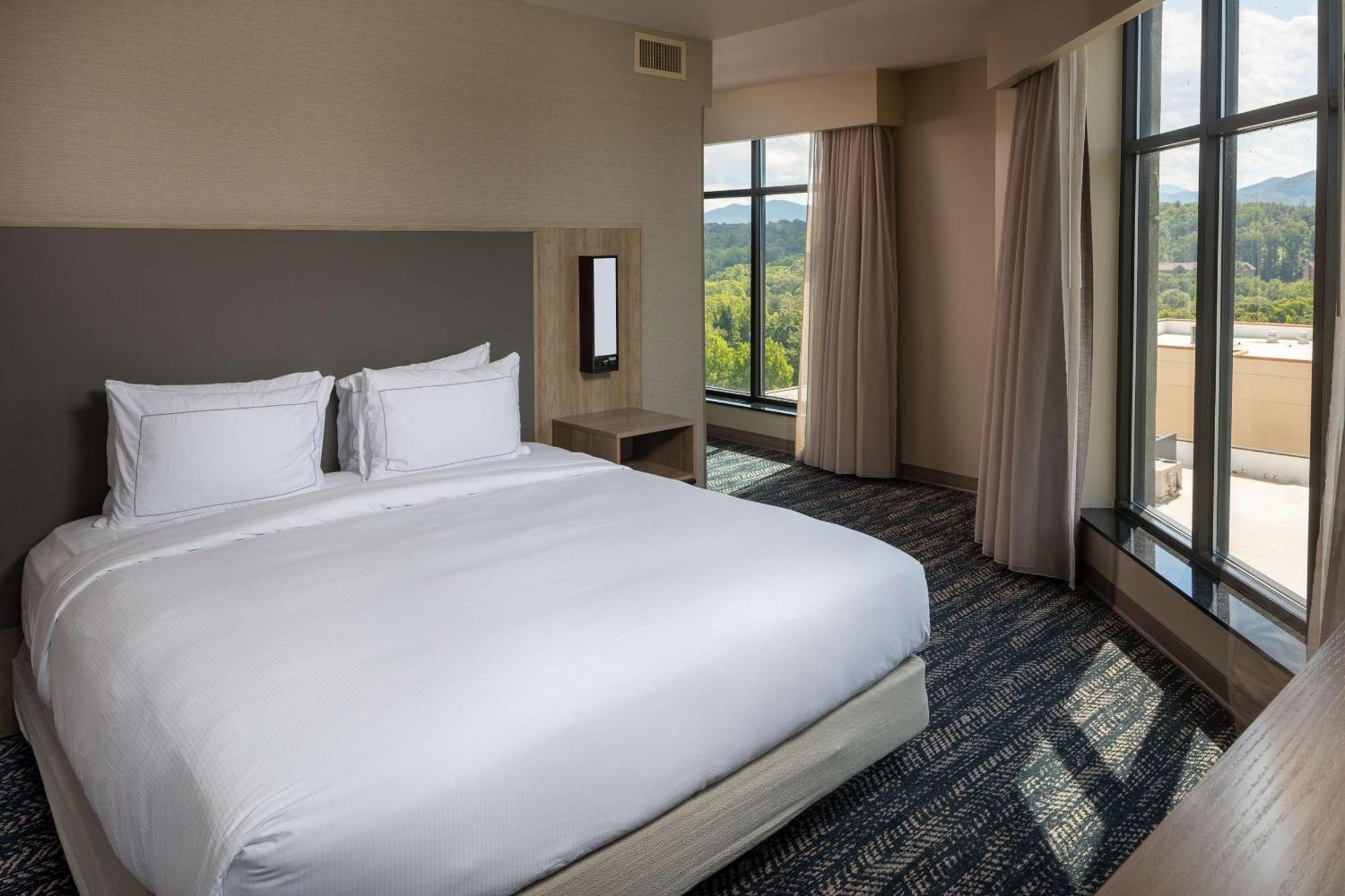 Hilton Asheville Biltmore Park Buitenkant foto